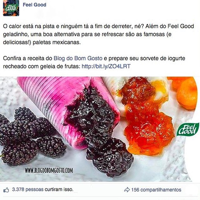 Para acompanha chá gelado, Feel Good sugere paleta do Bom Gosto!